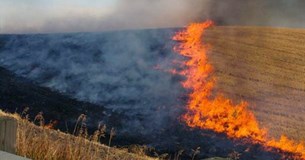 Πυρκαγιά ξέσπασε στον Μαυρομμάτι Βοιωτίας - Στο σημείο μεγάλη δύναμη της πυροσβεστικής