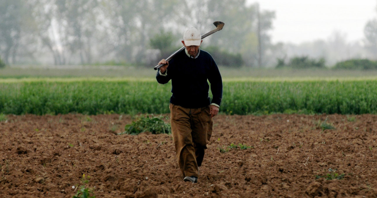 Γιώτα Πούλου: «Χωρίς εργάτες γης αφήνει η κυβέρνηση τον αγροτικό τομέα!»