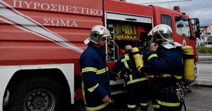 Φωτιές ξέσπασαν σε Αταλάντη και Μαρτίνο τη Δευτέρα