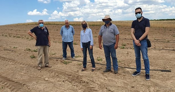 Γ. Πούλου: «Καταστροφές από χαλάζι στις καλλιέργειες στο Καπαρέλλι και το Μελισσοχώρι»