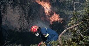 Πυρκαγιά σε δασική έκταση στα Στύρα Ευβοίας