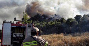 Φωτιά στη Χαλκίδα κοντά σε κατοικημένη περιοχή