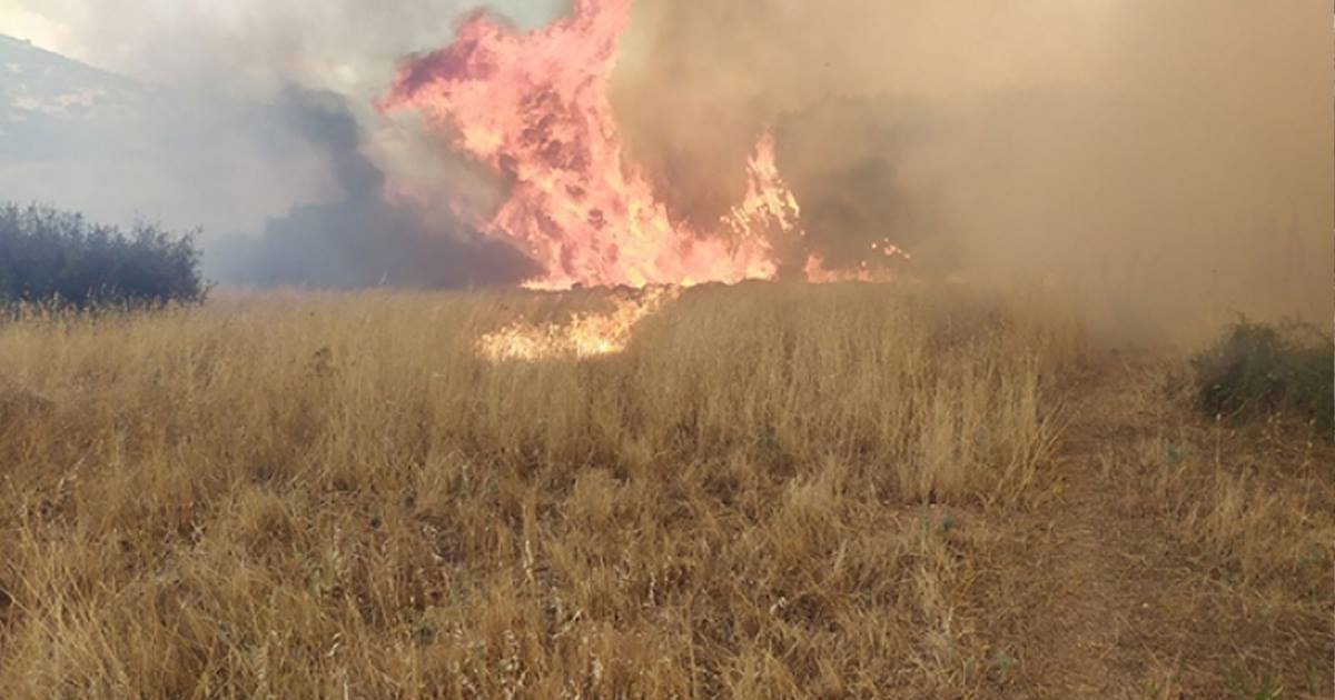 Θήβα: Συνελήφθη 60χρονος για εμπρησμό