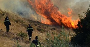 Φωτιά στα Μεσοχώρια Ευβοίας - Εκκενώνονται χωριά