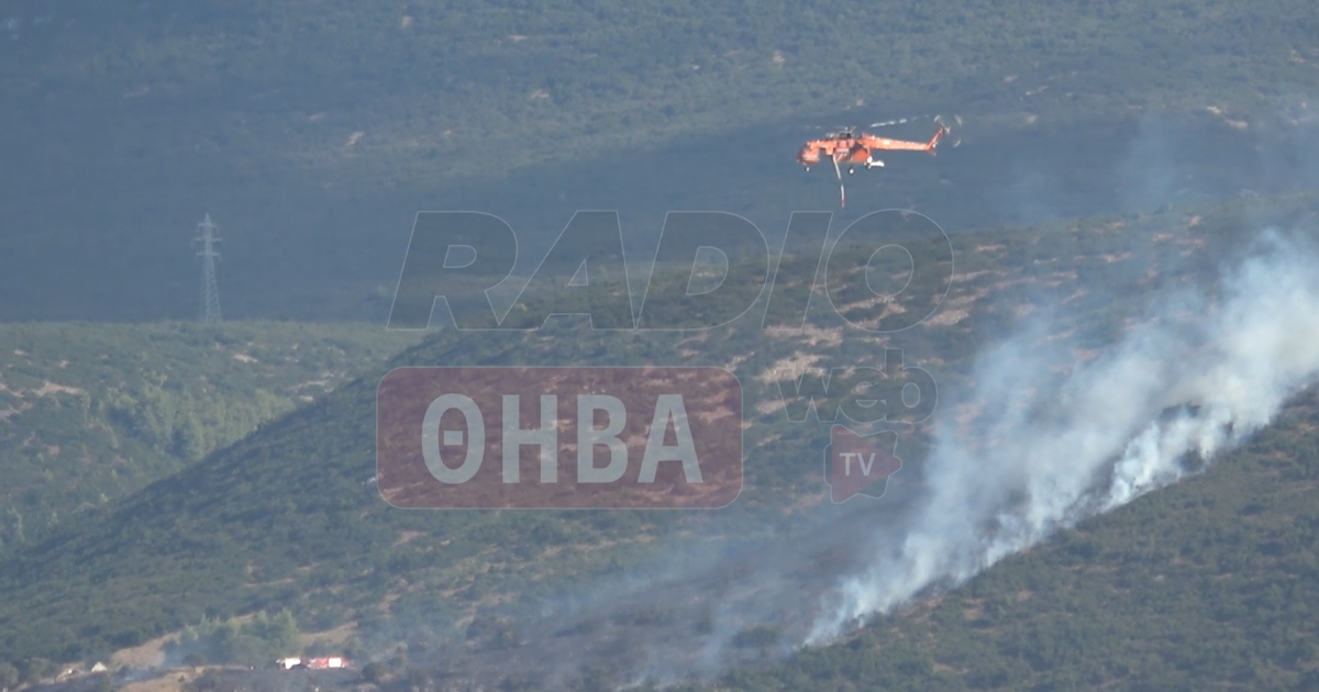 Έκτακτο: Μεγάλη φωτιά ξέσπασε μεταξύ Ερυθρών-Δάφνης