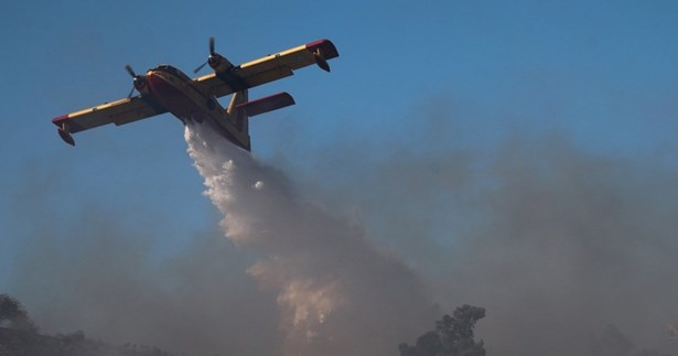 Έκτακτο: Μεγάλη πυρκαγιά ξέσπασε στο Δίστομο