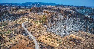 Πώς η Εύβοια θα αναγεννηθεί από τις στάχτες της