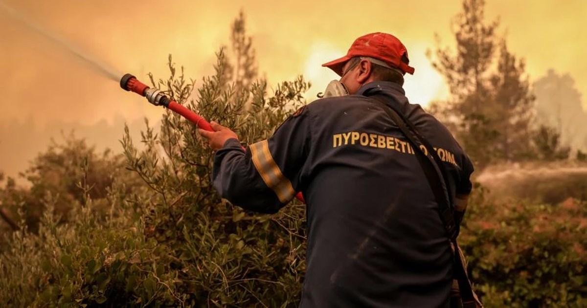 Υπό πλήρη έλεγχο η φωτιά στο Μαρτίνο Φθιώτιδας