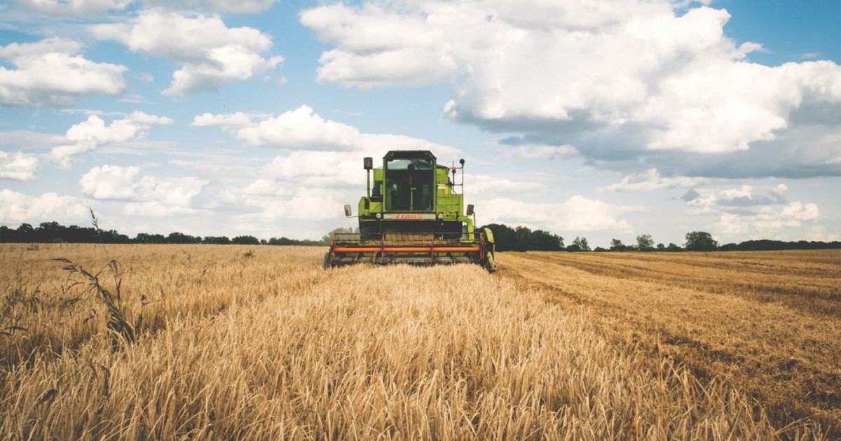 Γιώργος Μουλκιώτης: «Απελπισμένοι είναι οι αγρότες της Βοιωτίας, από την αύξηση του κόστους παραγωγής»