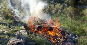 Π.Υ. Θήβας: Επιτρέπεται από 1 Νοεμβρίου η καύση κλαδεμάτων - Ποιες είναι οι προϋποθέσεις