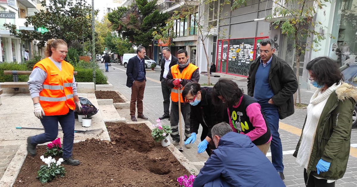 Φύτευση λουλουδιών στον κεντρικό πεζόδρομο της Θήβας