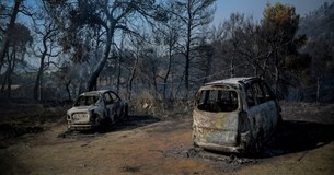 Φωτιά στην Εύβοια: Ολονύχτια μάχη με τις φλόγες - Ελεύθερος ο ύποπτος που προσήχθη