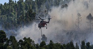 Δάσος Natura καίγεται στην Εύβοια - έτοιμα για εκκένωση δύο χωριά