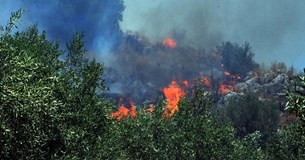 Φωτιά στο Μαρτίνο