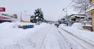 Να κηρυχθεί ο νομός Βοιωτίας σε Γενική Αργία ζητά ο Δήμαρχος Θηβαίων