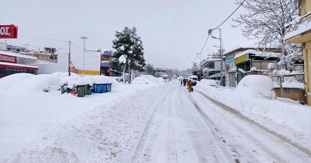 Να κηρυχθεί ο νομός Βοιωτίας σε Γενική Αργία ζητά ο Δήμαρχος Θηβαίων