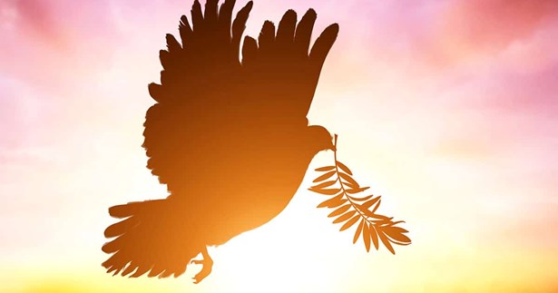 Αθαν. Γ. Καραπέτσας: Ζητείται ειρήνη