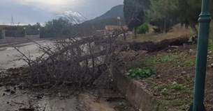 Ιδιαίτερη προσοχή στο Δήμο Αλιάρτου-Θεσπιέων - Θυελλώδεις άνεμοι «χτυπούν» την περιοχή