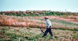 Ξεκίνησαν οι αιτήσεις καλλιεργητών στο Δήμο Αλιάρτου-Θεσπιέων για χρήση των δημοτικών αρδευτικών δικτύων
