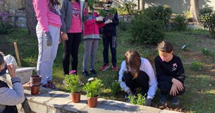Μαθητές του 8ου Δημοτικού φυτεύουν λουλούδια στη Θήβα