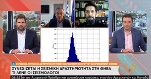 Γ. Χουλιάρας: «Σμηνοσειρά» που θα σβήσει η σεισμική δραστηριότητα στη Θήβα - Έχουν καταγραφεί 3.300 σεισμοί