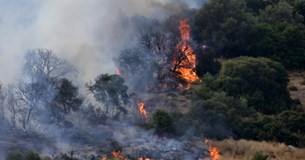 Εύβοια: Φωτιά τώρα σε δασική έκταση στην Ερέτρια