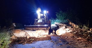 Ολονύχτια επιχείρηση στην Κωπαΐδα - Δέντρο έκλεισε τον δρόμο Αλίαρτος-Ορχομενός