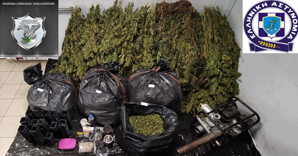 Εγκληματική οργάνωση διακινούσε ναρκωτικά σε Βοιωτία και Αττική - Τρεις συλλήψεις από την ΕΛ.ΑΣ.
