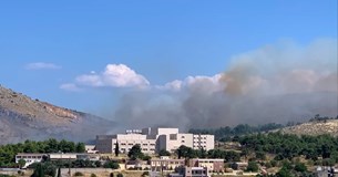 Φωτιά καίει δάσος κοντά στο νοσοκομείο Χαλκίδας