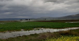 Σε κατάσταση έκτακτης ανάγκης Πολιτικής Προστασίας κηρύχθηκαν οι Δ.Ε. Θηβαίων και Βαγίων Δήμου Θηβαίων