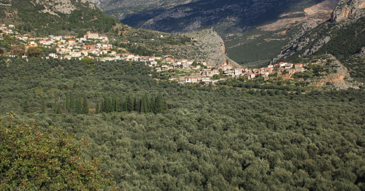 Ξεκινούν εργασίες ανάπλασης σε δρόμο της Κοινότητας Ελαιώνα