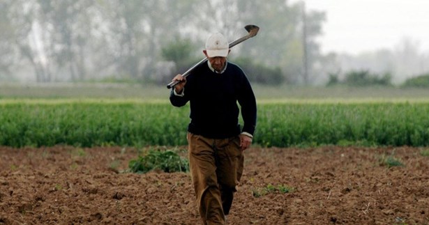 Γ. Πούλου: «Η υπομονή του αγροτικού κόσμου έχει εξαντληθεί. Η κυβέρνηση πρέπει να δώσει άμεσα λύσεις!»