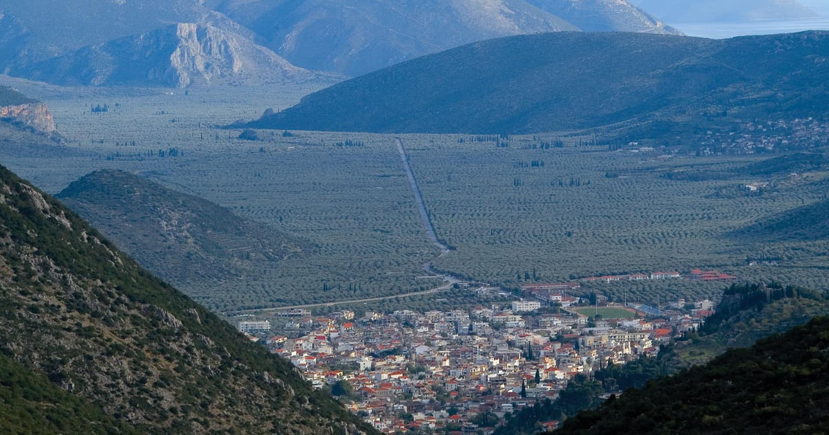 Δ. Δελφών: «Ξαναφυτεύουμε τους καμένους δελφικούς ελαιώνες»