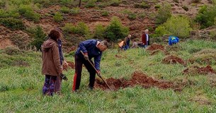 Με επιτυχία έγινε η αναδάσωση στο Μοσχοπόδι Θηβών - Δείτε φωτογραφίες