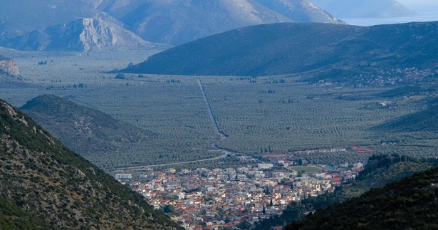 Στην εκδήλωση της συμβολικής φύτευσης για την αναγέννηση του Ελαιώνα στην Αμφισσα θα παρευρεθεί ο Πρωθυπουργός