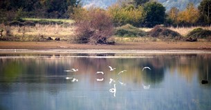 Γ. Πούλου για τους εργαζόμενους στους πρώην ΦΔΠΠ: «Εισέπραξαν από την κυβέρνηση Μητσοτάκη μόνο αδιαφορία και εμπαιγμό!»