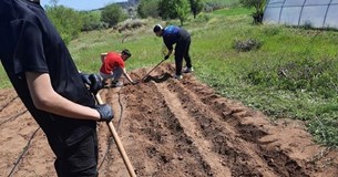 Δράση για την «Βελτιστοποίηση ανάπτυξης φυτών με νέες τεχνολογίες» υλοποιεί το ΕΠΑΛ Θήβας