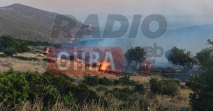 Έκτακτο: Δύο φωτιές ξέσπασαν στην Τ.Κ. Χωστίων - Δίνεται μάχη για να μην ενωθούν