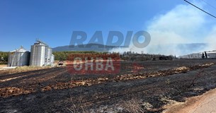 Σε δασική περιοχή η φωτιά στο Καπαρέλλι - Αυξάνονται οι δυνάμεις της πυροσβεστικής (Βίντεο-Φωτό)