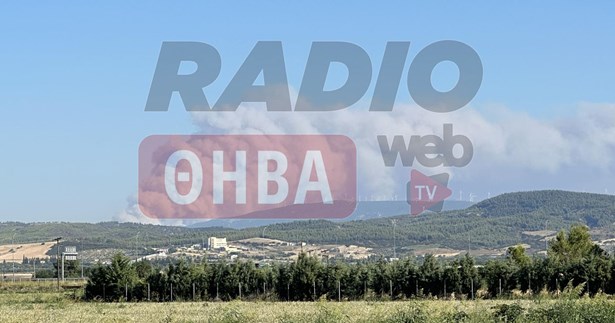 Έκτακτο: Ξέσπασε μεγάλη φωτιά στα Δερβενοχώρια Βοιωτίας