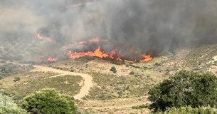 Φωτιά στην Κάρυστο: Εκκενώνονται τέσσερις οικισμοί - Το μήνυμα από το 112