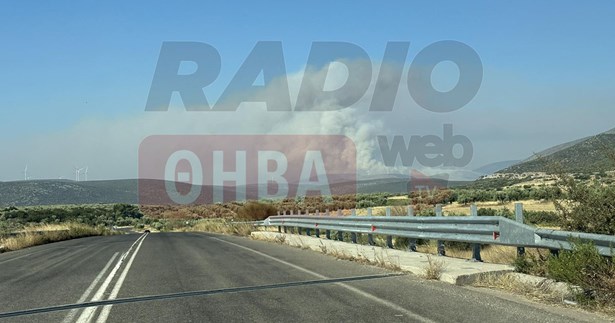 Έκτακτο: Μήνυμα 112 για την φωτιά στα Χώστια - Απομάκρυνση από παραλία Σαράντι προς Θίσβη