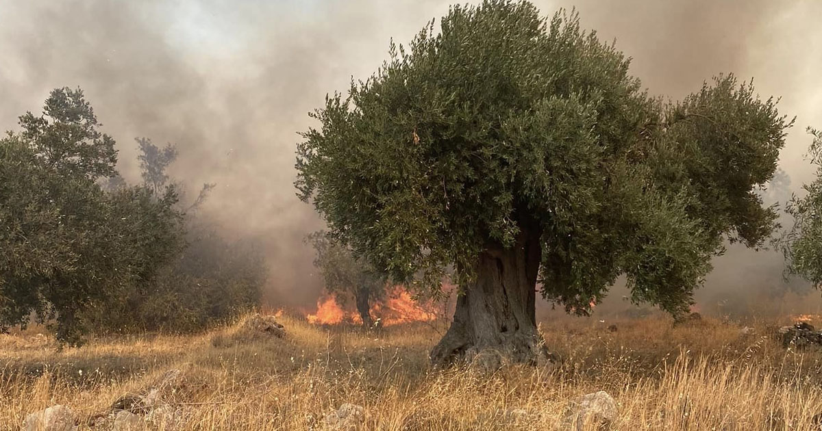 Η φωτιά εξακολουθεί να είναι ανεξέλεγκτη στα Χώστια