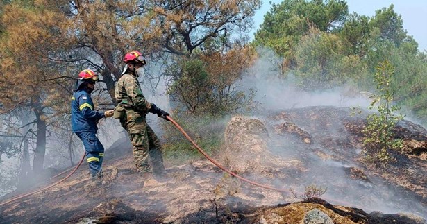 Φωτιά στον Έβρο: Εντοπίστηκαν 18 απανθρακωμένοι μετανάστες στο δάσος της Δαδιάς