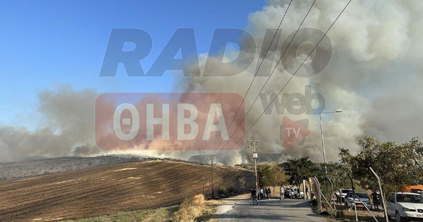 Γ. Αναστασίου: «Χρειαζόμαστε βοήθεια» - Έφτασαν 4 αεροσκάφη στη φωτιά της Θήβας (Βίντεο)