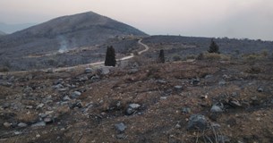 Λ.Σ. Θήβας: Ολική καταστροφή αφήνει πίσω της η πυρκαγιά στα Χώστια και στο Σαράντη