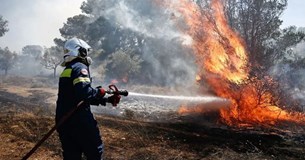 Ο Κώστας Μπασδέκης σχολιάζει τις πυρκαγιές που ξέσπασαν στη Στερεά Ελλάδα
