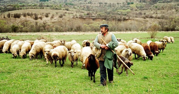 Ερώτηση Μουλκιώτη στη Βουλή για την υποβολή δηλώσεων ΟΣΔΕ