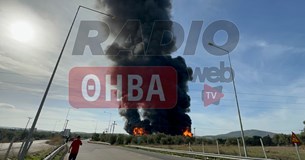 Ξέσπασε πυρκαγιά σε εργοστάσιο με χημικά στο Βαθύ Αυλίδας - Ακούστηκαν εκρήξεις (Βίντεο)