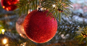 Σεραφείμ Δέδες: «Ανάβουμε το Χριστουγεννιάτικο δένδρο!!!»